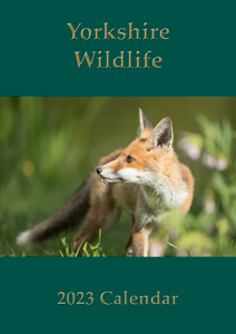 2023 Yorkshire Wildlife Calendar