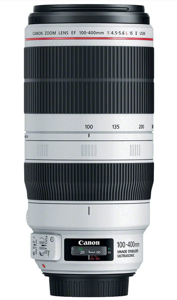 Canon EF 100-400 lens