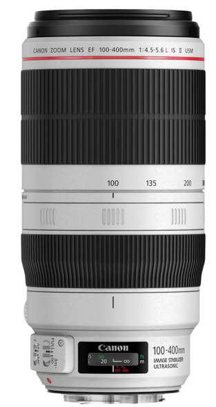 Canon EF 100-400 lens