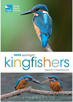 RSPB Spotlight on Kingfishers
