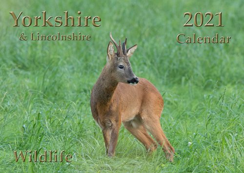 Yorkshire Wildlife Calendar 2021, front cover